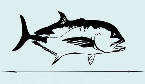 The length of an average giant trevally