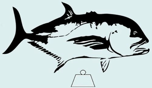 The weight of a Giant Trevally