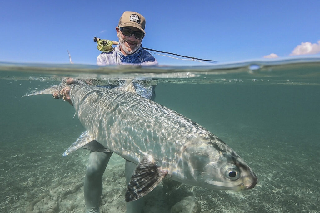A milkfish landed
