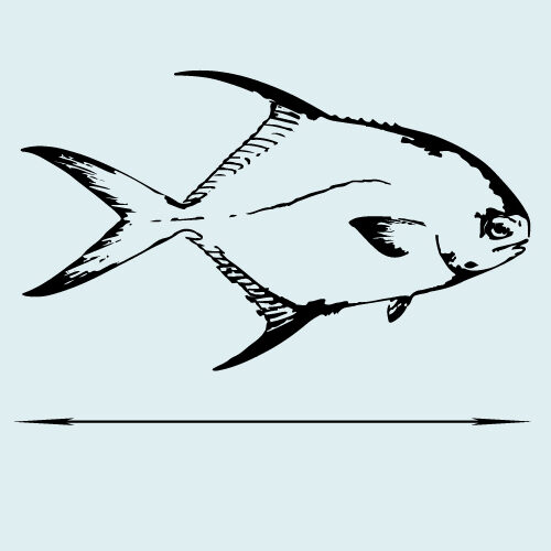 permit-Length
