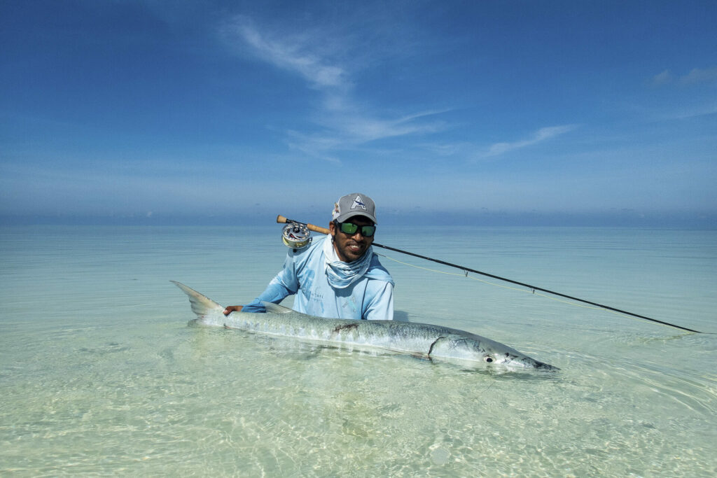 Fisherman releasing a barracuda