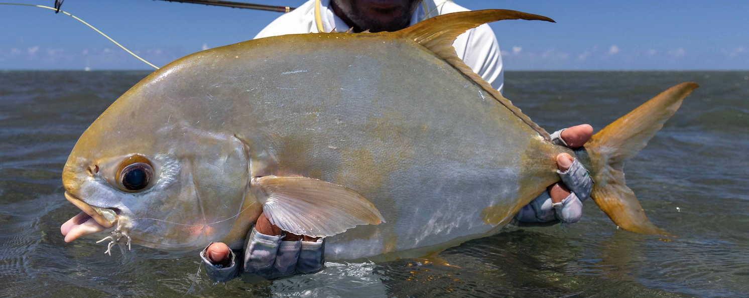 Spectacular Catches