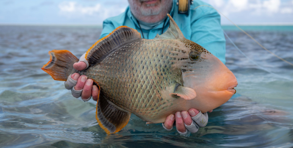 Angler with the tricky catch