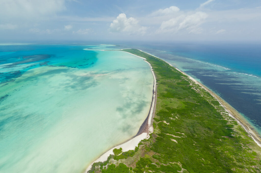 Cosmoledo Atoll Fly Fishing