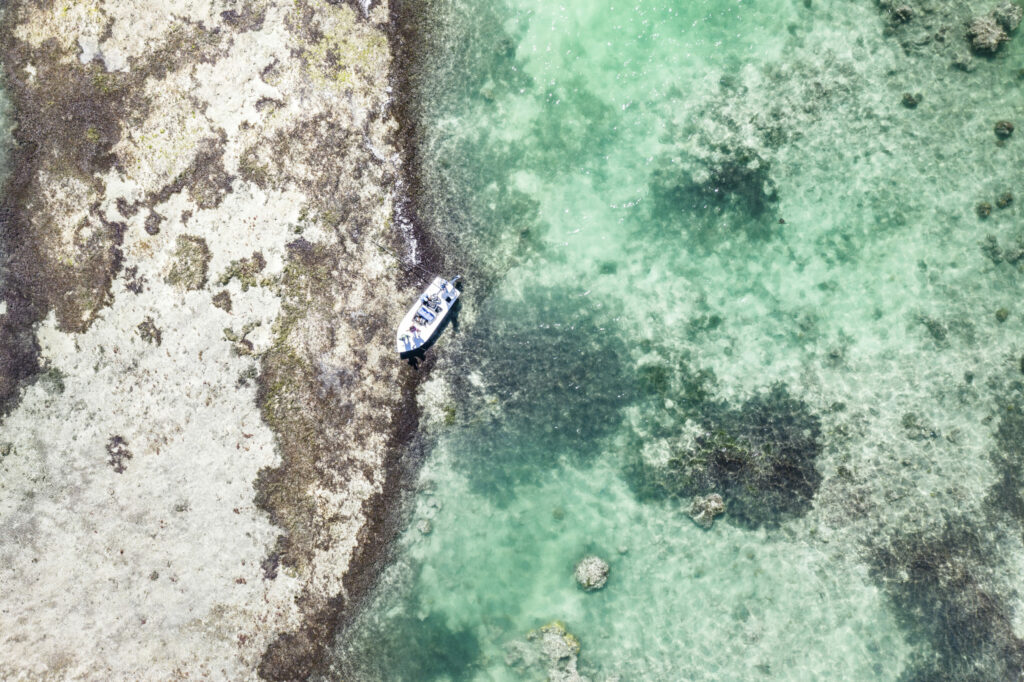 Alphonse Island Beach Bungalow Fly Fishing