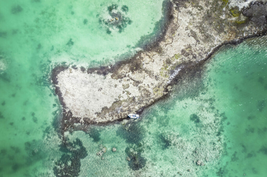 Alphonse Island Beach 1-Bed Beach Villa Fly Fishing