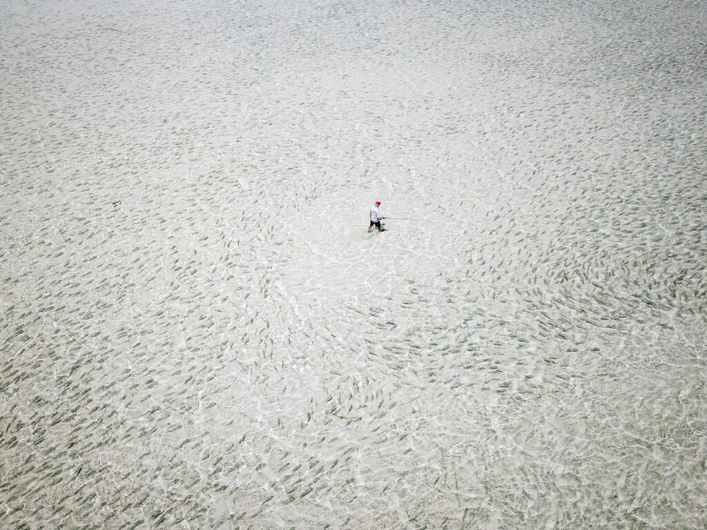 Fly Fishing Destinations Alphonse