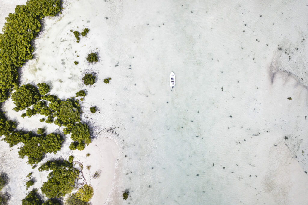 Alphonse Island Beach 1-Bed Beach Villa Fly Fishing