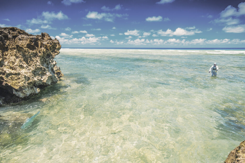 Astove Island Fly Fishing
