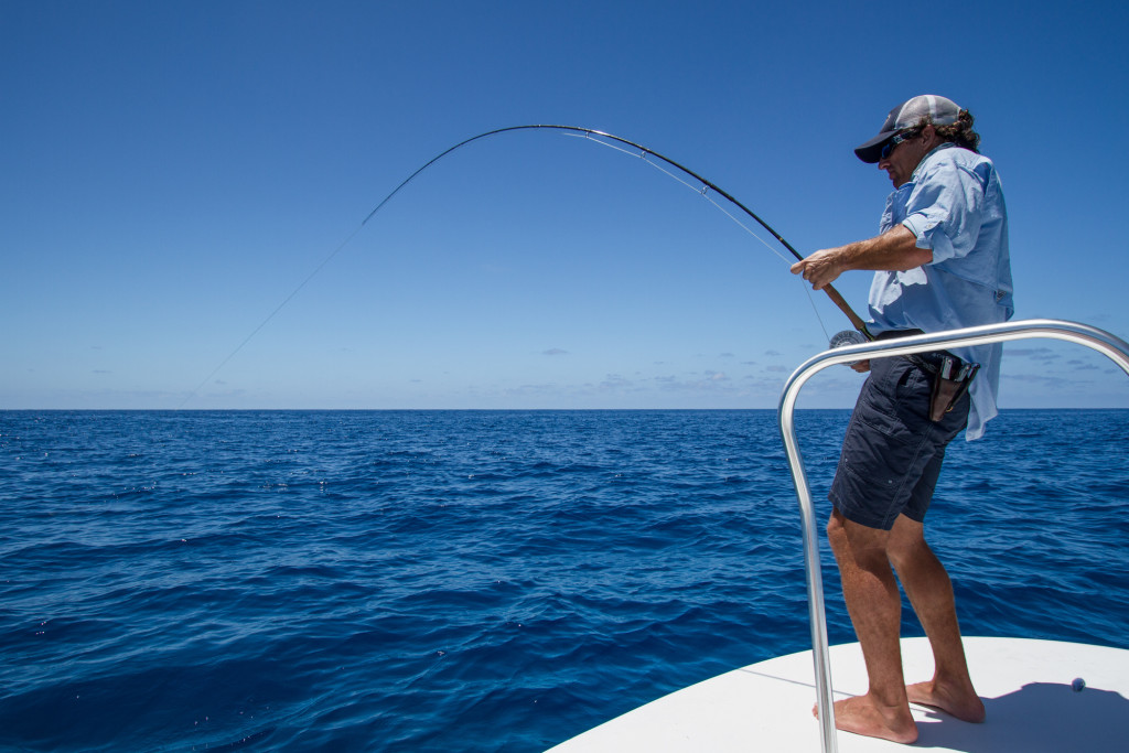 Step by step guide to land a sailfish
