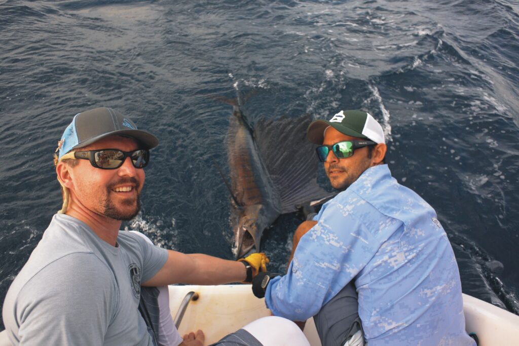 Anglers releasing a sailfish - while they liveaboard a vessel.