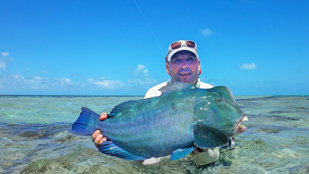Trips to Farquhar Atoll possible to catch bumphead