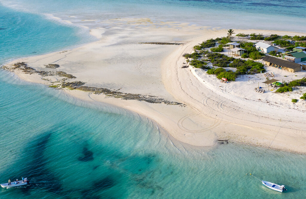 Loaction for high adventure sport fishing is Cosmoledo Atoll