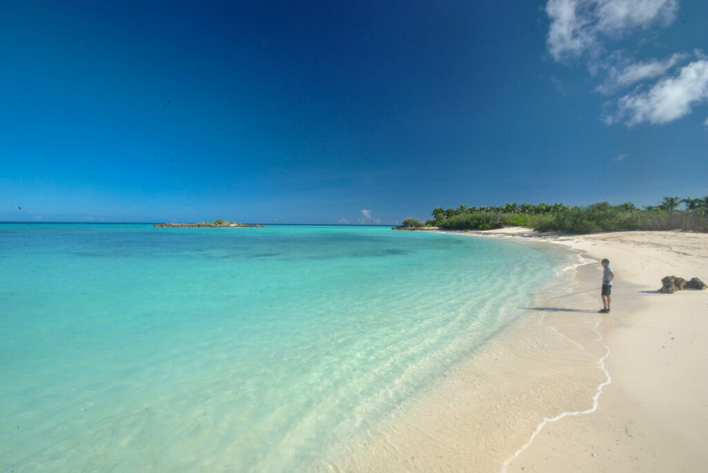 Beach on wild Astove Atoll