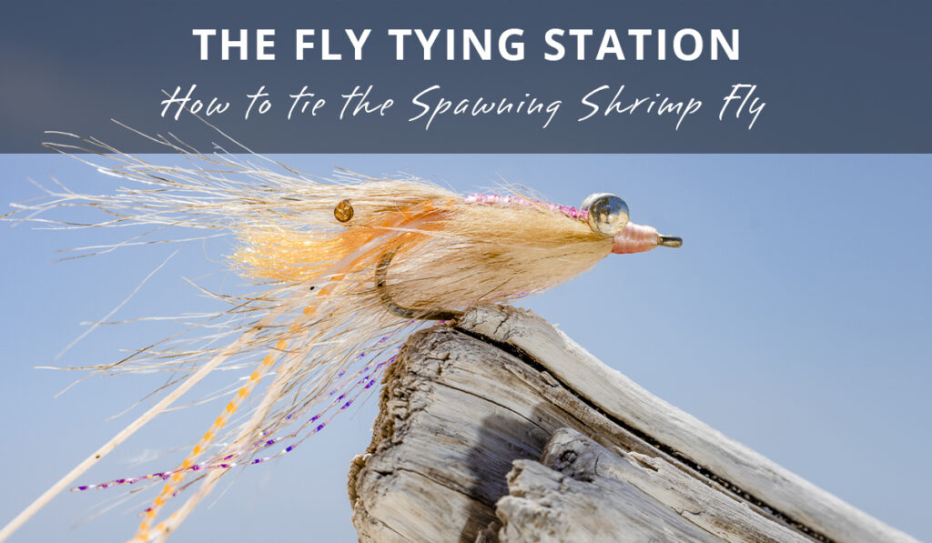 How to Tie the Spawning Shrimp
