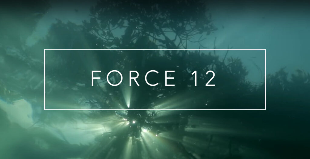 Force 12