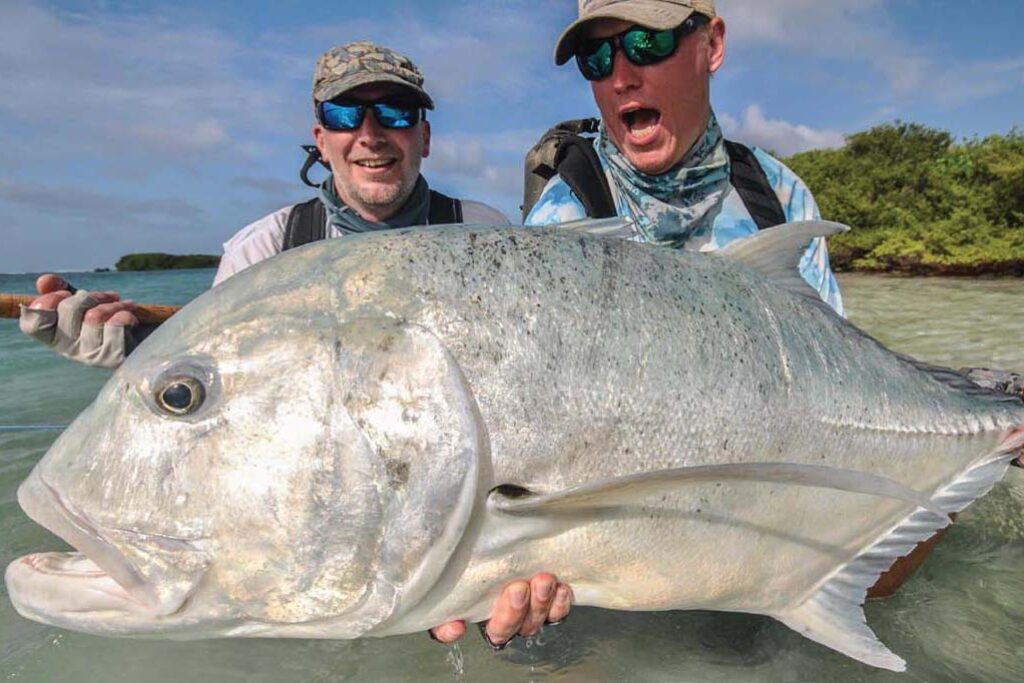 Huge GT caught a fly at Cosmoledo