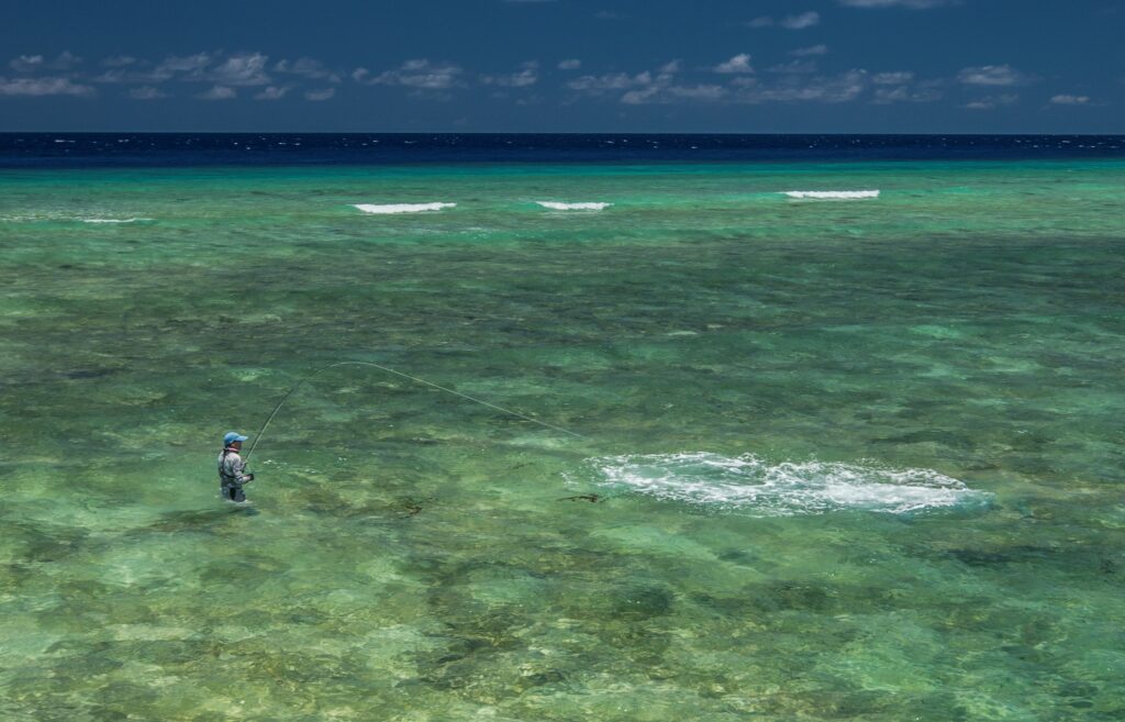Did you know the Seychelles is best for fly fishing