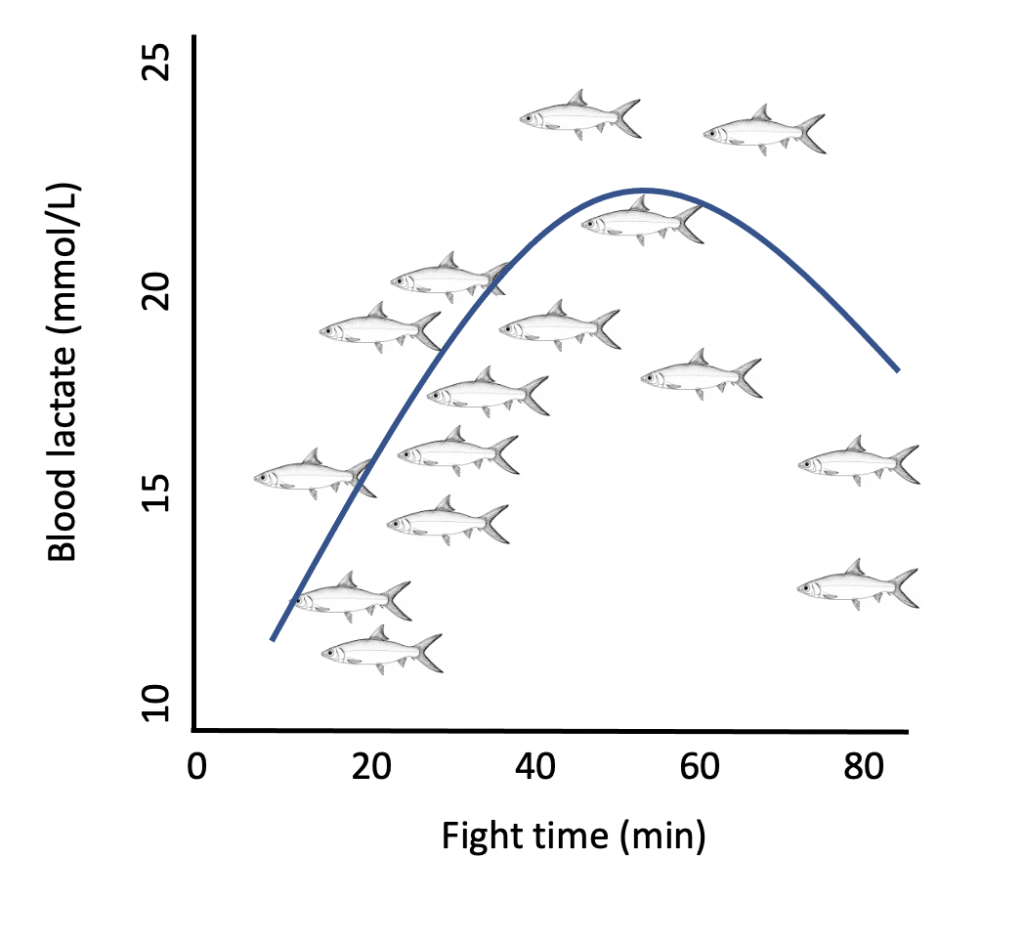 milkfish myth busted