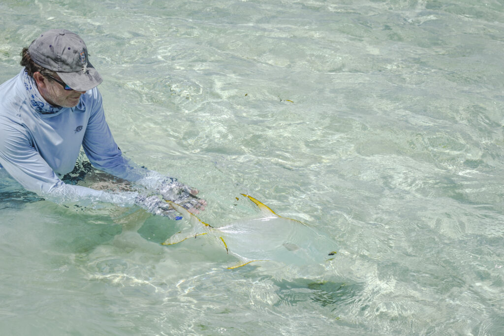 Angler releasing a permit