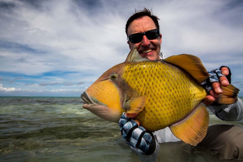 Moustache triggerfish caught on a fly at Alphonse Island.