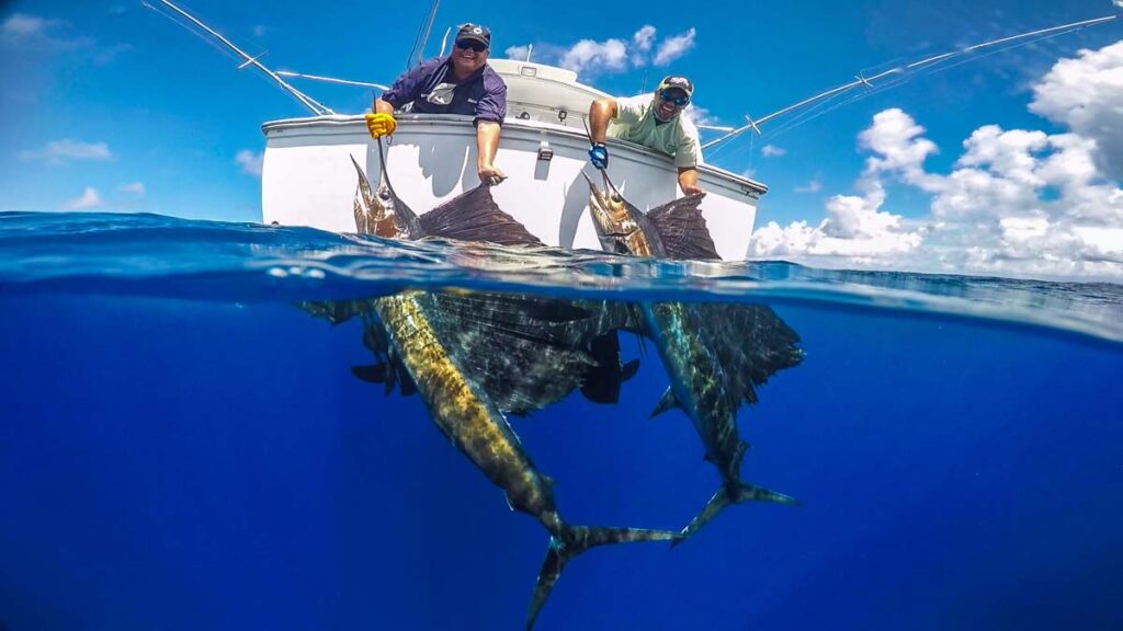 Alphonse guide holding Sailfish caught at Alphonse Island.