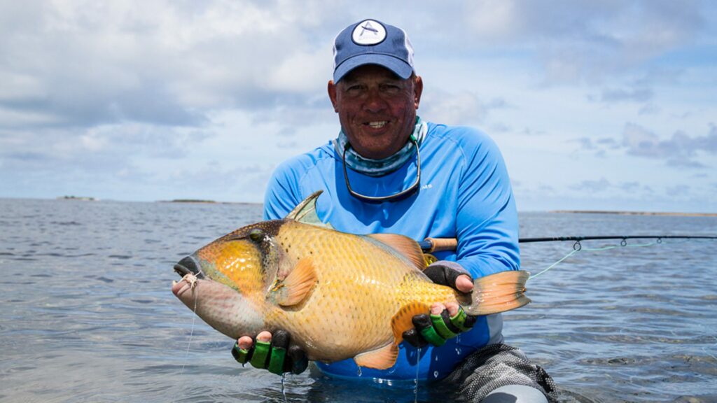 Triggerfish Seychelles