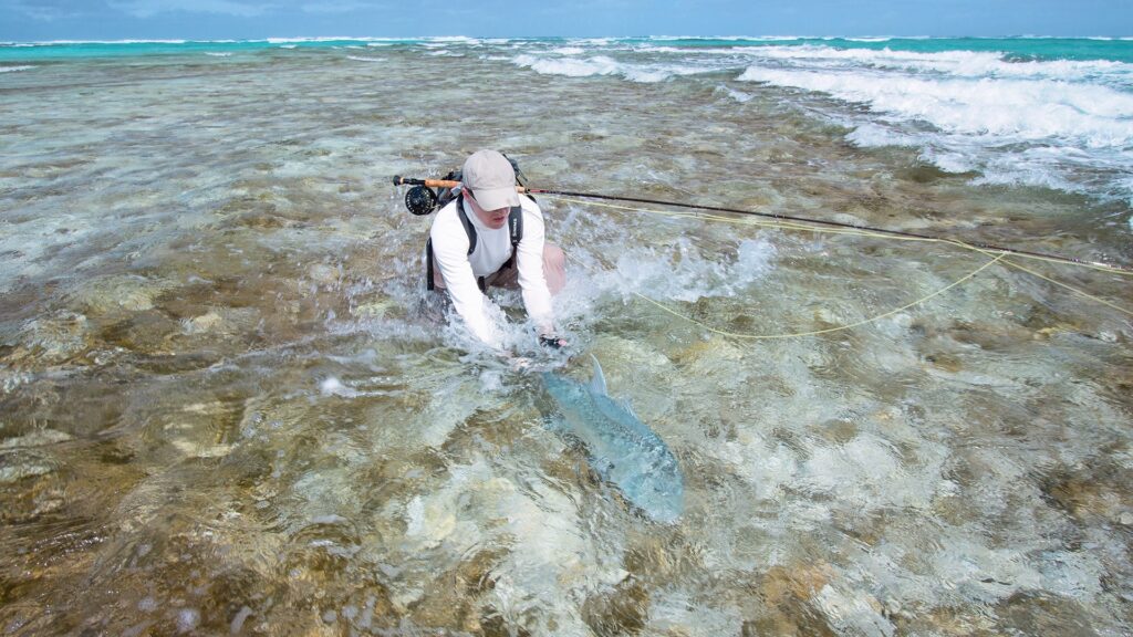 fly fishing facts