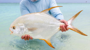 Premit Seychelles