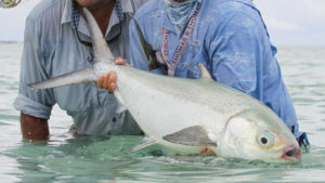 Milkfish Seychelles