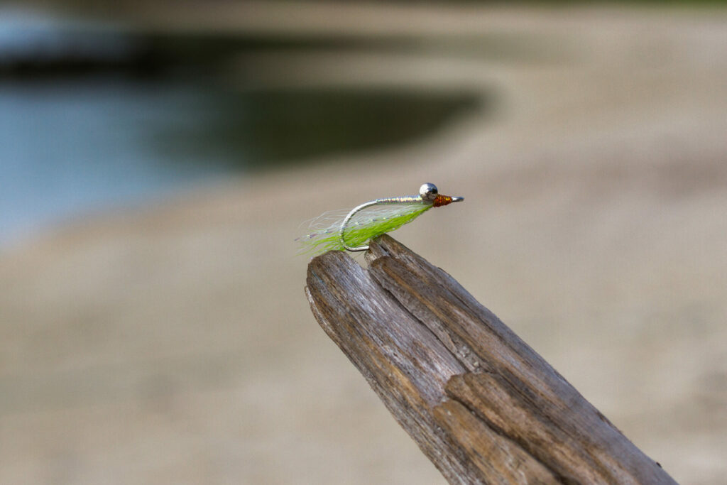 Milkfish Fly - Pillow Talk best flies to land milkfish