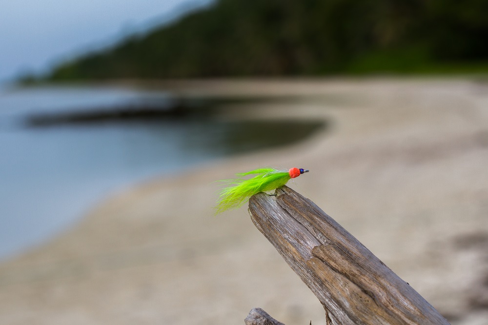 One of the best flies to land milkfish Wayne's Milky Magic