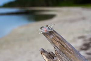 Best flies for Permit - The Alphlexo Crab